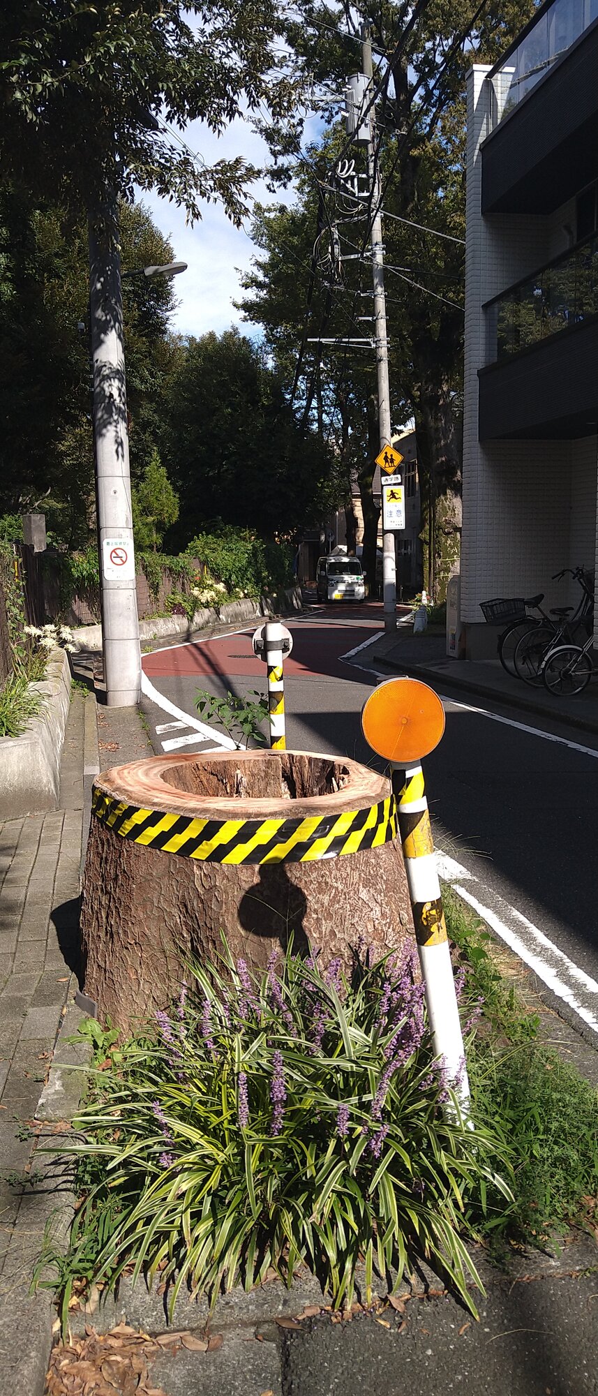 ご苦労様でした。