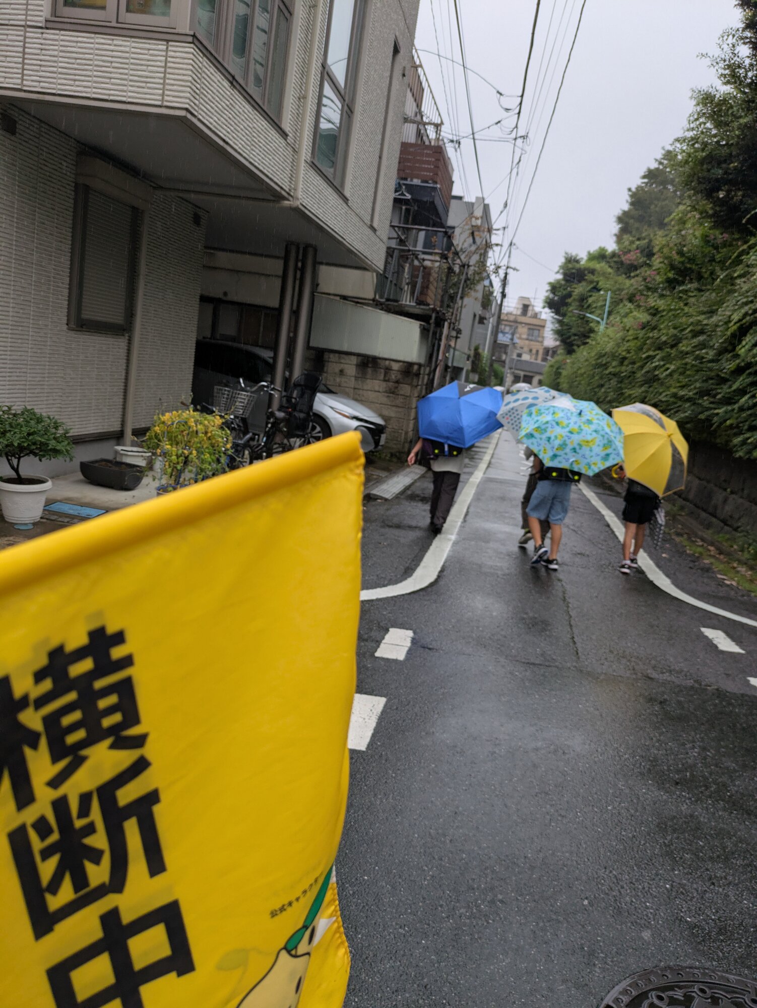 雑司が谷通学路
