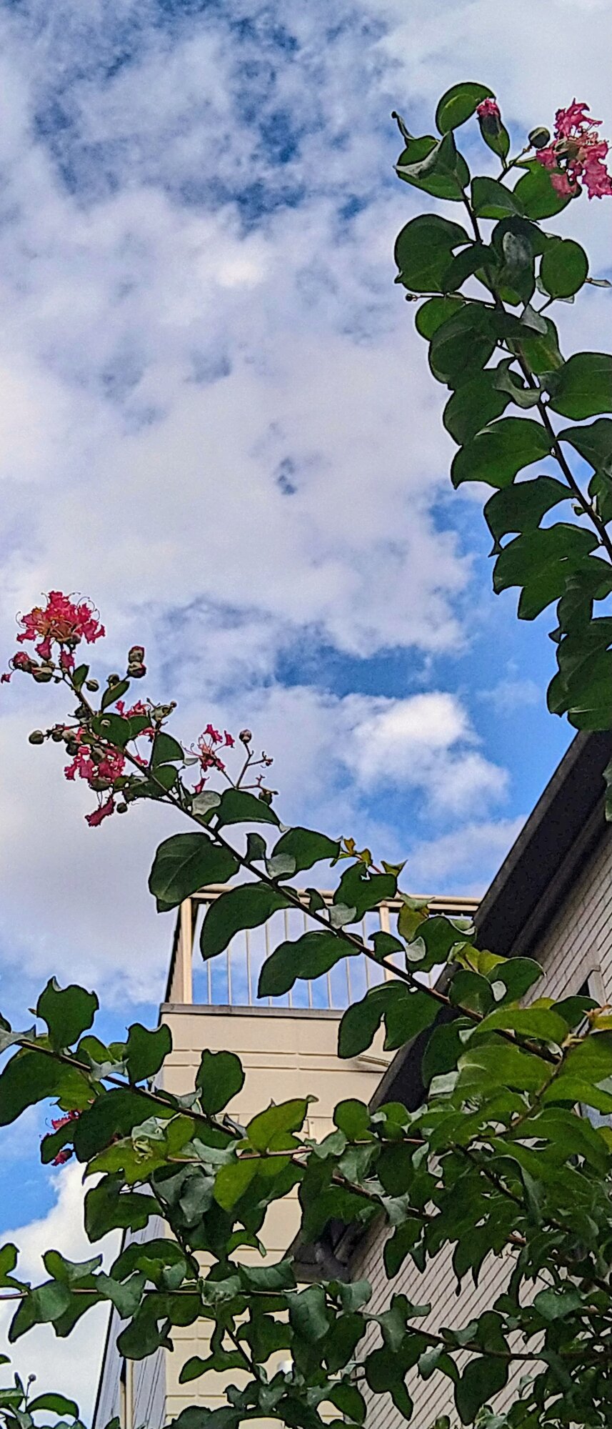 久々の青空